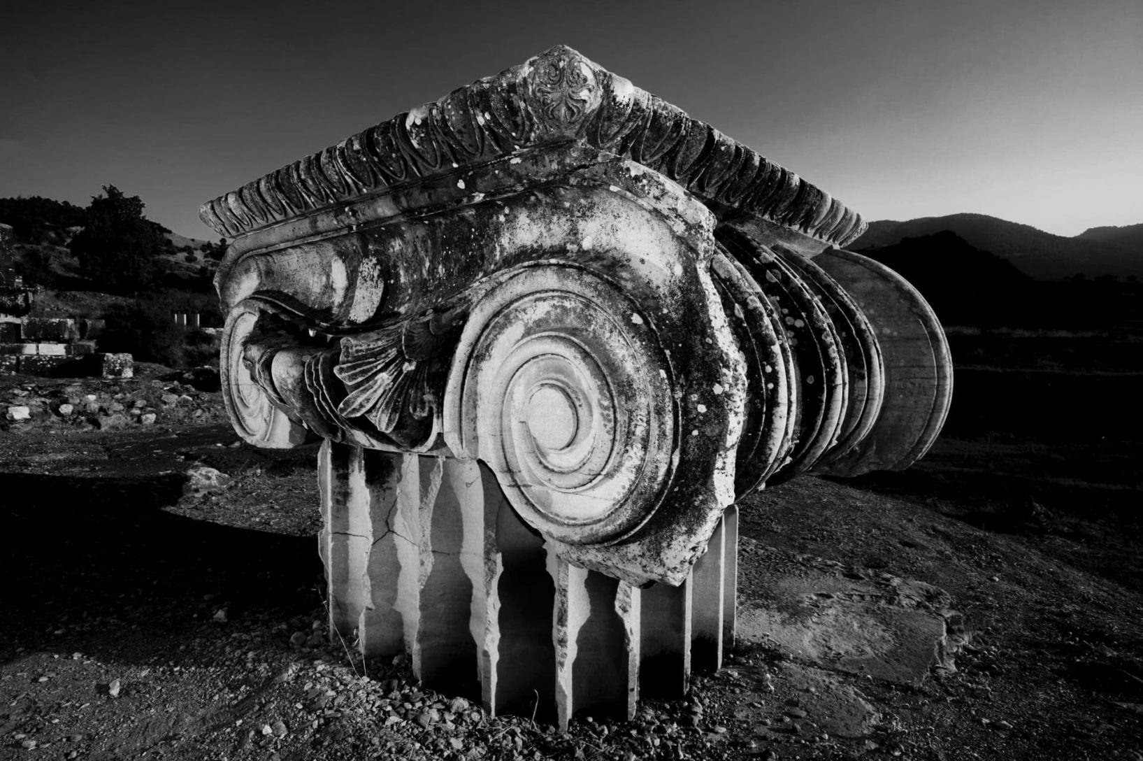 PhotocompanyBCN Fotografia Editorial (Barcelona)